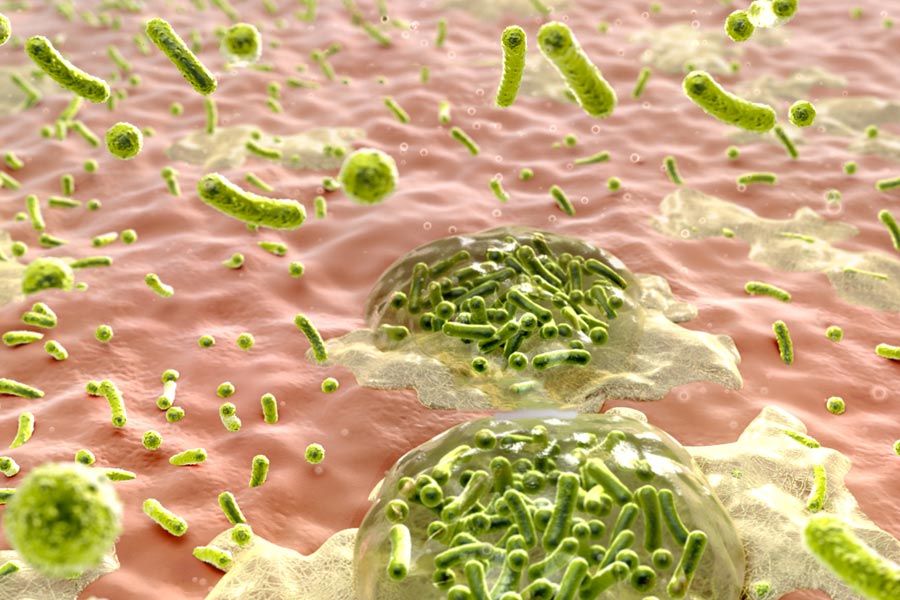DottNet - Argilla per combattere i batteri nelle ferite
